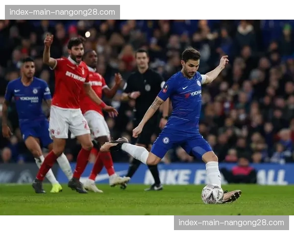 通讯：暴雨导致斯坦福桥场地积水，主裁判与双方队长商议比赛是否继续